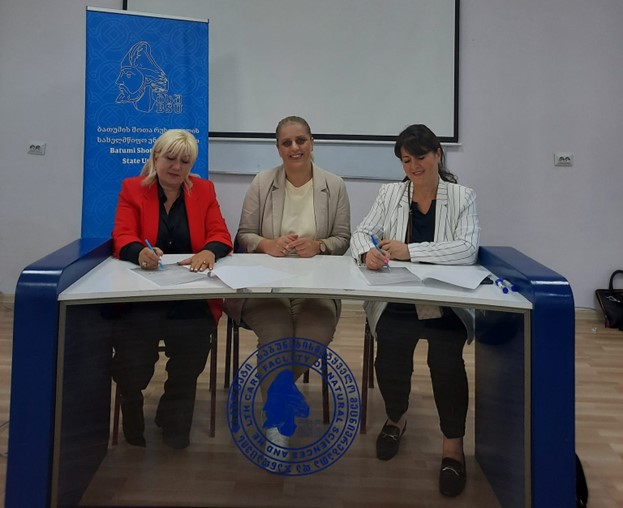 ღონისძიებები და პროექტები nlpt